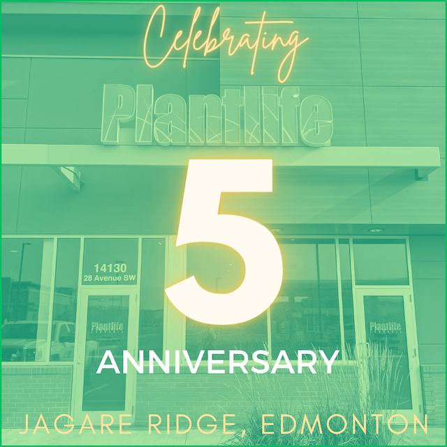 Jagare Ridge, Edmonton