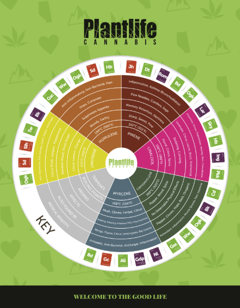 PLANTLIFE CANNABIS - TERPENES ARE THE BEST PART OF THE PLANT!