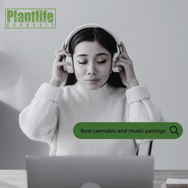 PLANTLIFE CANNABIS - SPOTIFY WRAPPED GLOBAL TOP 5 ARTISTS