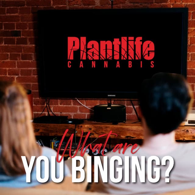 PLANTLIFE CANNABIS - BINGE N’ BAKED NIGHTS 