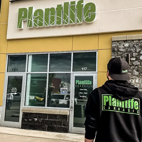 Plantlife Cannabis is an Alberta-Grown Game Changer