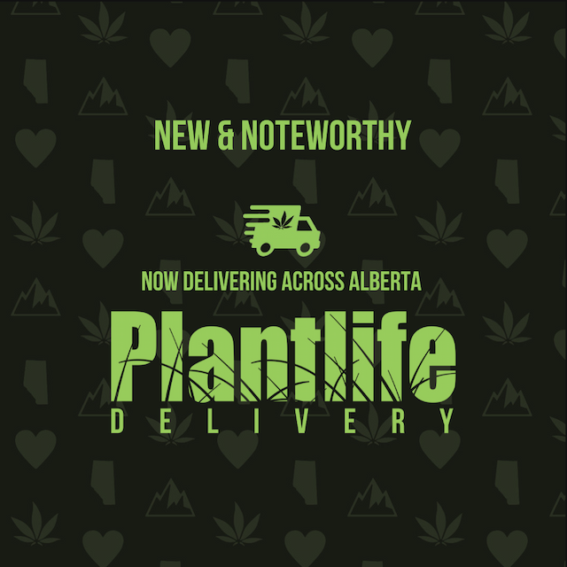 PLANTLIFE CANNABIS - NEW AND NOTEWORTHY WEED!